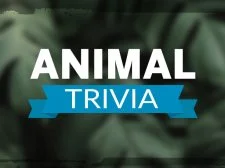 Animal Trivia